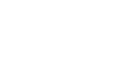The Standard logo
